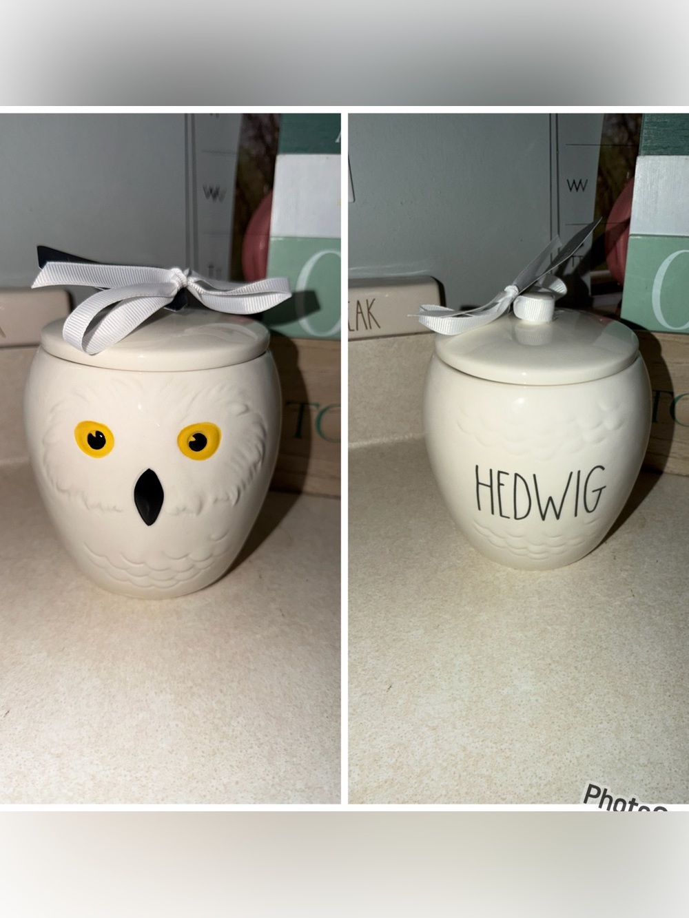 Rae dunn hedwig owl canister Harry Potter